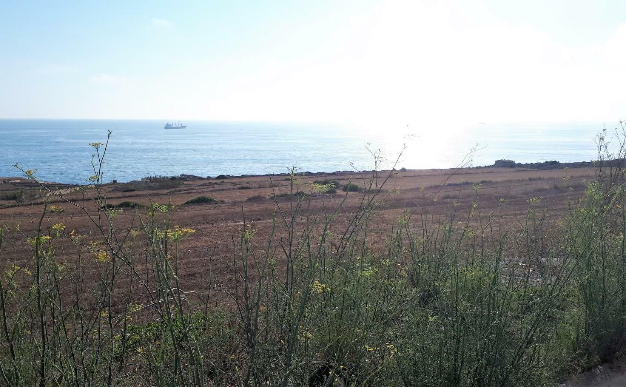 Ocean View, 1 شقة